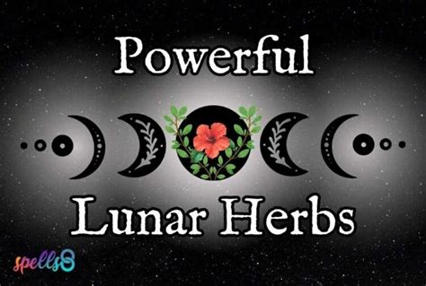 Lunar Witchcraft and Lunar Energy Cleansing: Clearing Negative Energies in F95